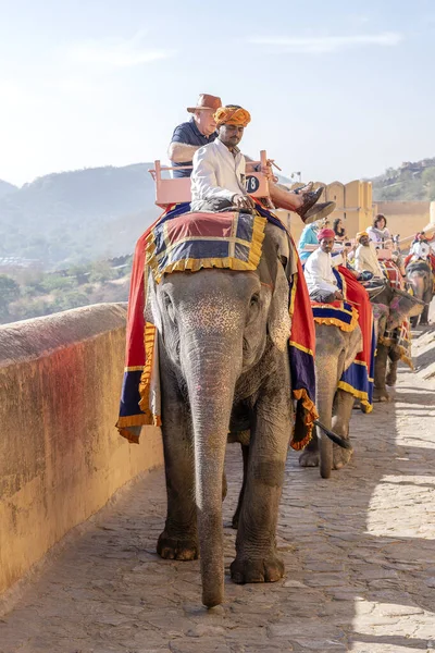 Jaipur India Novembre 2018 Gli Elefanti Decorati Cavalcano Turisti Sulla — Foto Stock