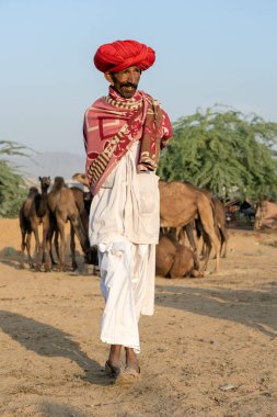PUSHKAR, INDIA - 14 Kasım 2018: Hindistan 'ın kutsal şehri Pushkar, Rajasthan yakınlarındaki Pushkar Camel Mela sırasında Thar çölünde Hintli erkek ve sürü develeri. Bu fuar dünyanın en büyük deve ticaret fuarı.