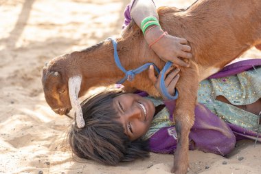 PUSHKAR, INDIA - 13 Kasım 2018: Çölde keçisi olan Hintli genç kız Thar zamanında Pushkar Camel Mela kutsal şehir Pushkar, Rajasthan, Hindistan, yakın portre