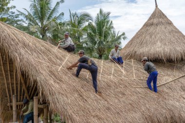 UBUD, BALI, INDONEZYA - 24 Mart 2019: Yerel halk Ubud, Bali, Endonezya 'da yeni bir saman çatısını onarıyor. İnşaat işçileri binanın çatısında çalışıyor.