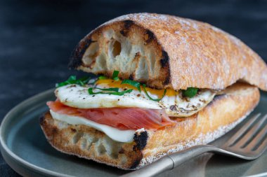 Taze somon, yumurtalı sandviç, yakın çekim. Tuzlu somon, kızarmış yumurta, tereyağı ve beyaz ekmek tabakta.