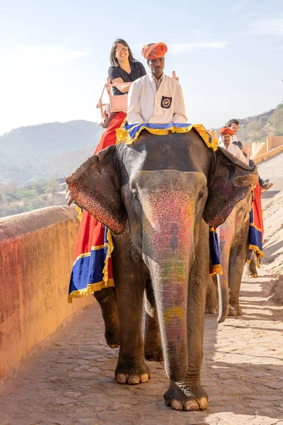 Jaipur India November 2018 Versierde Olifanten Rijden Toeristen Weg Amber — Stockfoto