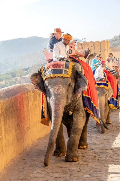 Jaipur India Novembre 2018 Gli Elefanti Decorati Cavalcano Turisti Sulla — Foto Stock