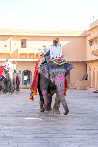Jaipur India November 2018 Decorated 코끼리타기 여행객 라자스탄의 자이푸르에 요새의 — 스톡 사진