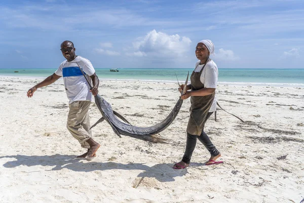 タンザニアのザンジバル 2020年1月4日 アフリカの男性と女性がザンジバル島 タンザニア 東アフリカの海の近くの熱帯砂のビーチで大きなマリン魚を運ぶ — ストック写真