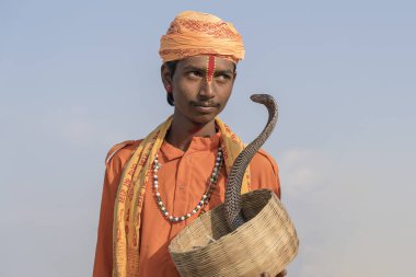 PUSHKAR, INDIA - NOVEMBER 14, 2018: Hindu sadhu kutsal adam ve yılan kobra çölde Thar zamanında Pushkar Camel Mela kutsal şehir Pushkar, Rajasthan, Hindistan, yakın portre