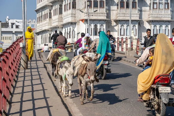 Udaipur Ινδία Νοεμβρίου 2018 Γάιδαροι Που Περπατούν Στο Δρόμο Μεταφέροντας — Φωτογραφία Αρχείου