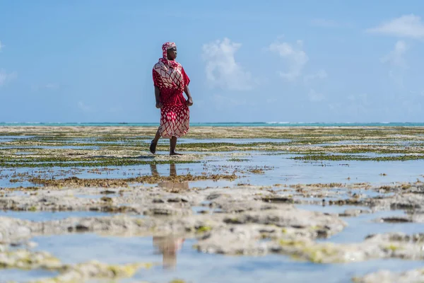 Zanzibar Tanzânia Janeiro 2020 Mulher Africana Praia Tropical Perto Mar — Fotografia de Stock