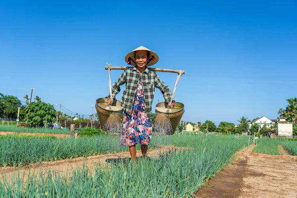 Hoi Vietnam July 2020 Vietnamese Senior Woman Watering Vegetable Garden — Stock Photo, Image