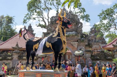 UBUD, BALI, INDONESIA - 22 NİSAN 2019: Ubud, Island Bali, Endonezya 'daki merkez caddedeki Bade yakma töreninde kara bufalo ve insanlar. Yaklaşan yakma töreni için hazırlandı..