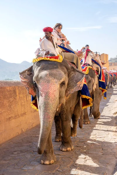 Jaipur India Novembre 2018 Gli Elefanti Decorati Cavalcano Turisti Sulla — Foto Stock