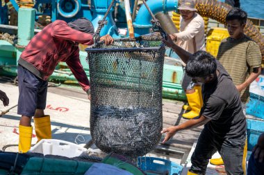Kota Kinabalu, Malezya - 25 Şubat 2020: Malezyalı balıkçılar taze avlanan balıkları bir gemiden Kota Kinabalu, Sabah, Malezya 'daki sokak filipin pazarındaki plastik konteynırlara yüklüyorlar