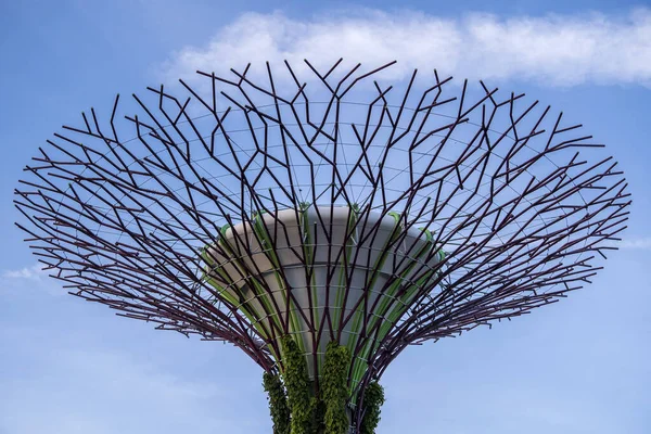 Singapur Miasto Singapur Luty 2020 Kolorowe Superdrzewa Ogrodach Nad Zatoką — Zdjęcie stockowe
