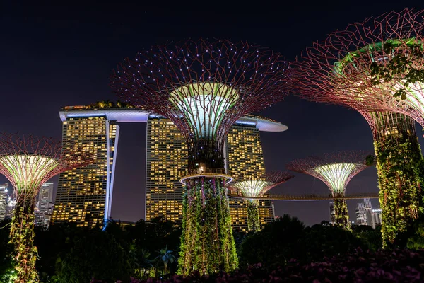 Singapur Singapur Luty 2020 Hotel Marina Bay Sands Kolorowe Superdrzewa — Zdjęcie stockowe