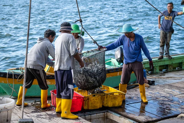 Kota Kinabalu Malaysia February 2020 Malaysian Fishermen Load Freshly Caught — Stock Photo, Image