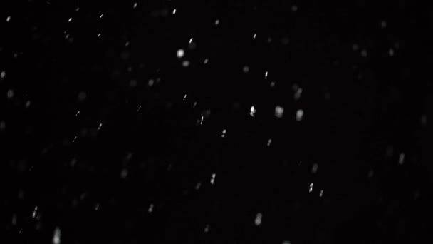 Invierno Cayendo Nieve Sobre Fondo Negro Pequeños Copos Nieve Cayendo — Vídeo de stock