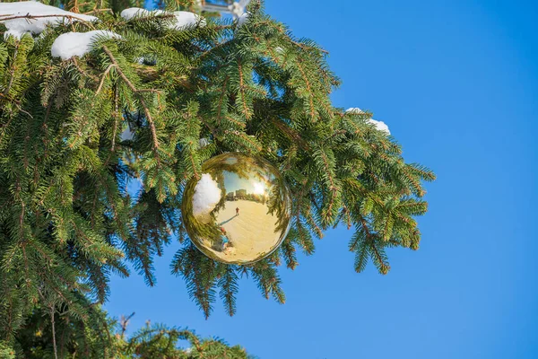 青空を背景に 緑の松の木の枝に黄金のクリスマスボールを閉じる — ストック写真