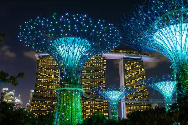 Singapur Singapur Luty 2020 Hotel Marina Bay Sands Kolorowe Superdrzewa — Zdjęcie stockowe