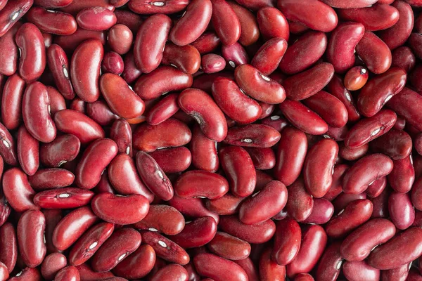 Red Bean Beans Pattern Background Close Top View — Stock Photo, Image