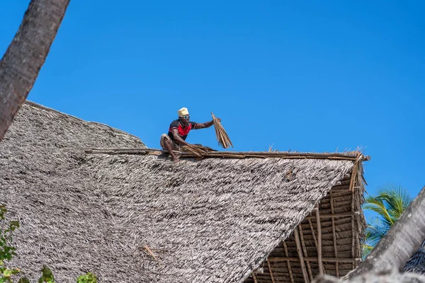 タンザニア ザンジバル 2020年1月11日アフリカの男性建築家が東アフリカ タンザニア ザンジバル島の家の茅葺き屋根の上で働く — ストック写真