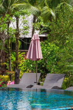 Rahatlatıcı yatakları ve güneşli şemsiyesi olan yüzme havuzu Tayland plajı yakınlarındaki tropikal bahçede.