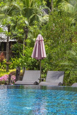 Rahatlatıcı yatakları ve güneşli şemsiyesi olan yüzme havuzu Tayland plajı yakınlarındaki tropikal bahçede.