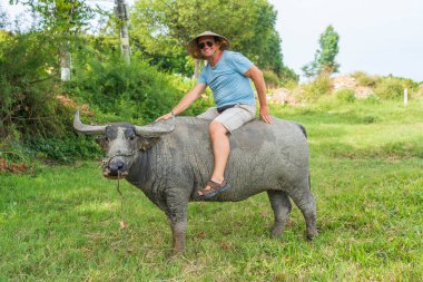 Hoi An, Vietnam yakınlarındaki yeşil bir tarlada bufalo süren Avrupalı bir adam.