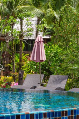 Rahatlatıcı yatakları ve güneşli şemsiyesi olan yüzme havuzu Tayland plajı yakınlarındaki tropikal bahçede.