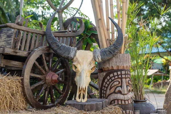 Buffalo skull, wooden cart and straw at a local street market on island Koh Samui, Thailand, close up, outdoors