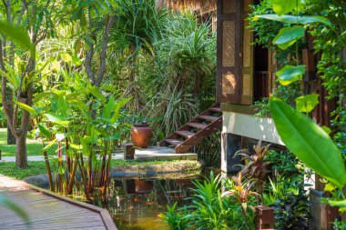 Tayland 'daki Koh Phangan adasındaki tropikal bahçede ev ve gölet