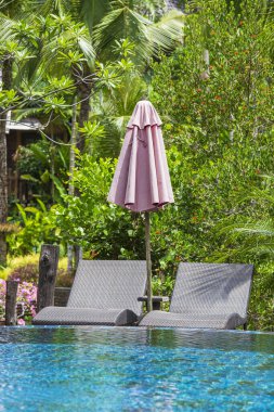 Rahatlatıcı yatakları ve güneşli şemsiyesi olan yüzme havuzu Tayland plajı yakınlarındaki tropikal bahçede.