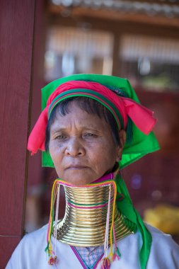 Inle Gölü, Myanmar, Burma - 14 Ocak 2016: Padaung Kabilesi kadını Myanmar, Inle Gölü, Myanmar, Burma Padaung-Karen kabilesindeki kadınlar Myanmar 'ın azınlığında poz veriyor.