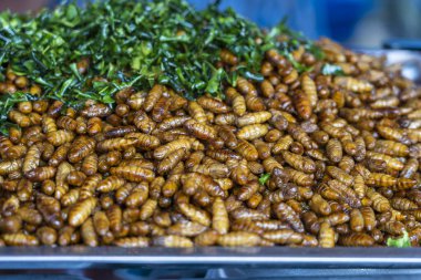 Tayland 'da sokak yemeklerinde kızarmış ipek solucanları. İyice kızarana kadar kızarırlar. Ta ki gevrek, tuzlu ve protein açısından zengin bir atıştırmalık olana kadar..