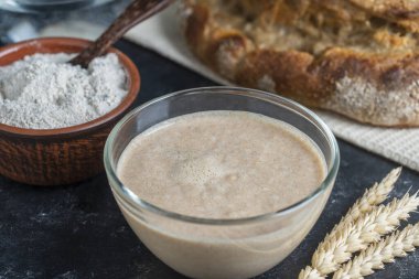 Mayasız mayalı ekmek, un, su ve hamur mayalı cam kavanoz. Ekmek, çörek, hamur işi ya da pizza için hamur mayası hazırlıyorum. Yemek pişirme süreci
