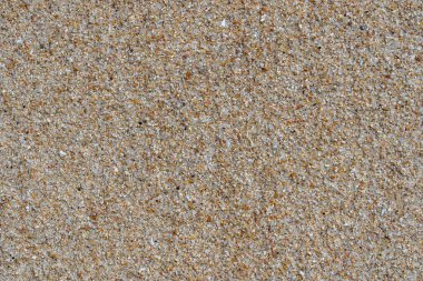 Kumsal geçmişi. Detaylı kum dokusu. Üst görünüm, kapat