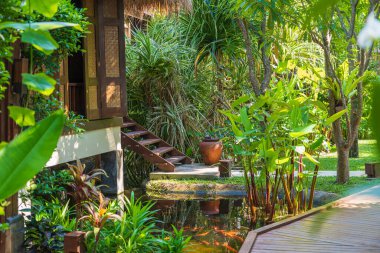 Tayland 'daki Koh Phangan adasındaki tropikal bahçede ev ve gölet