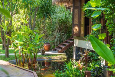 Tayland 'daki Koh Phangan adasındaki tropikal bahçede ev ve gölet