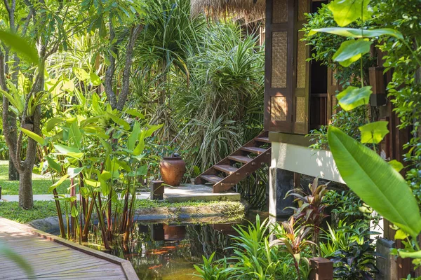 Tayland 'daki Koh Phangan adasındaki tropikal bahçede ev ve gölet