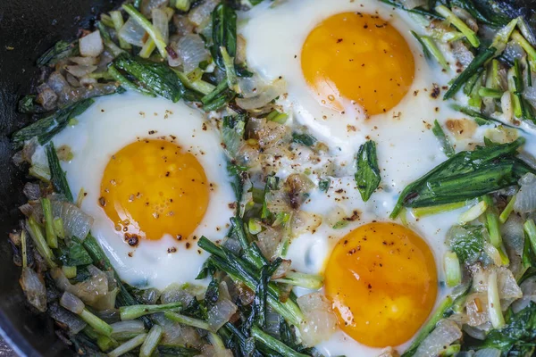 Shakshuka Τηγανητά Αυγά Πράσινα Φύλλα Άγριου Σκόρδου Κρεμμύδι Πιπέρι Και — Φωτογραφία Αρχείου