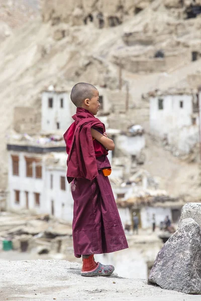 Lamayuru Gompa Ladakh Indie Czerwiec 2015 Młody Buddyjski Mnich Ulicy — Zdjęcie stockowe