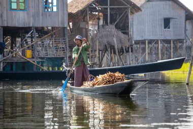 Inle Gölü, Myanmar, Burma - 12 Ocak 2016: Küçük uzun ahşap teknedeki Birmanyalı adam Inle Gölü, Myanmar 'da yüzen markette odun satıyor