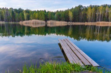 Tahta iskele ve Ukrayna 'da sakin bir göl üzerindeki bahar ormanı. Doğa ve seyahat kavramı. Güzel ve renkli bir sahne.