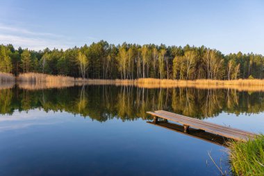 Tahta iskele ve Ukrayna 'da sakin bir göl üzerindeki bahar ormanı. Doğa ve seyahat kavramı. Güzel ve renkli bir sahne.