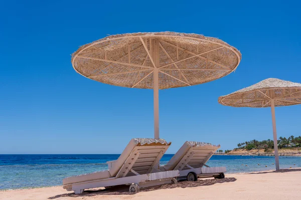 Luxe Zandstrand Met Strandstoelen Witte Stroparasols Tropisch Resort Aan Rode — Stockfoto