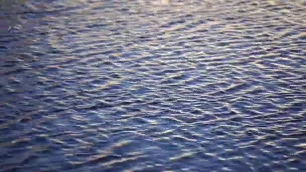 Blaue Wasserwellen Der Oberfläche Wunderschönes Hintergrundmeer Nahaufnahme Ägypten Nasse Meeresoberfläche — Stockvideo