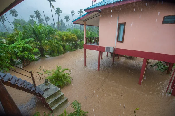 Inondations Pluie Tropicale Dans Rue Île Koh Phangan Thaïlande — Photo