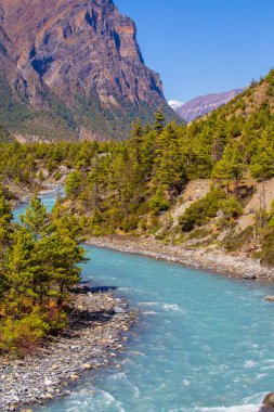 Himalaya dağları, kıvrımlı nehir, yeşil orman ve sonbaharda mavi gökyüzü ile güzel bir manzara. Dağ vadisi. Himalayalar 'da seyahat
