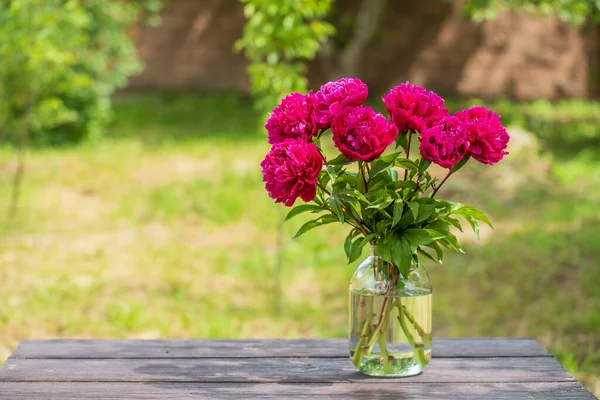 Beau Bouquet Fleurs Pivoines Rouges Dans Bocal Verre Avec Eau — Photo