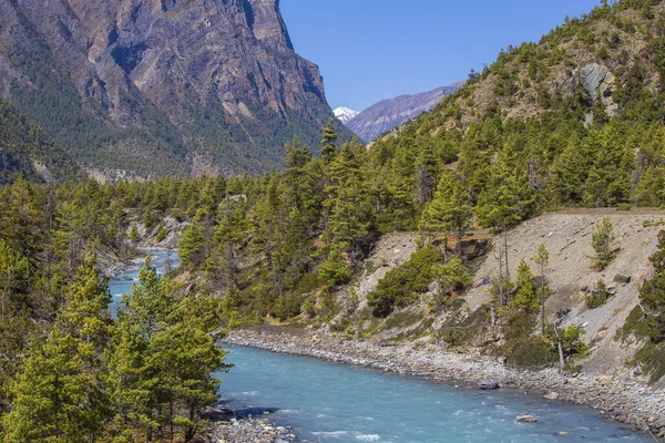 Hermoso Paisaje Con Altas Montañas Del Himalaya Río Curvo Bosque —  Fotos de Stock