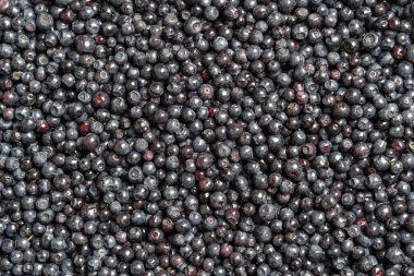 Yüzey yaban mersinli yaban mersini katmanıyla kaplı. Yaklaş. Yaz ormanı meyvesi